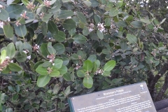 AfricaS00451