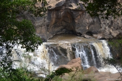 Kruger00192
