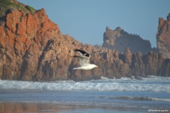 GardenRoute00128