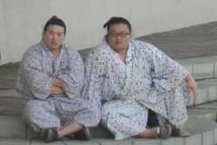 Ucenici Sumo