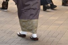 Stil tradițional