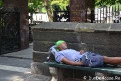 New York00203