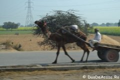 India00193