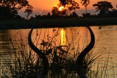 Okavango00015