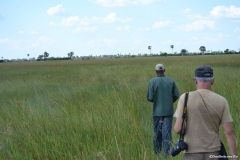 Okavango00524