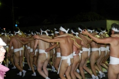 Festivalul Oamenilor Dezbracati