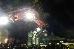 Festivalul Oamenilor Dezbracati