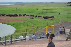 AfricaS00539