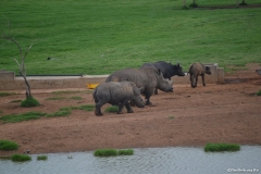 AfricaS00595