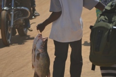 Tanzania300040