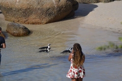 Cape-Town00381