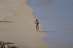 GardenRoute00036