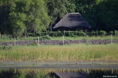 Okavango00174