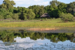 Okavango00195