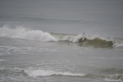 GardenRoute00058