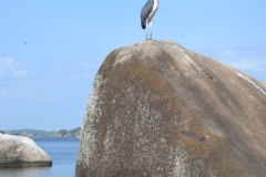 mwanza48