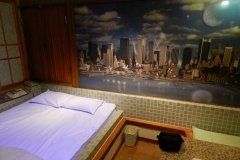 Tokyo Love Hotel