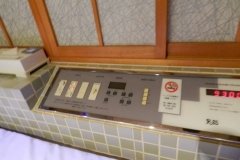 Tokyo Love Hotel