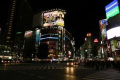Tokyo Love Hotel