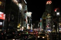 Tokyo Love Hotel