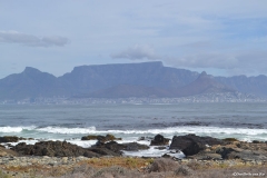 Cape-Town00444