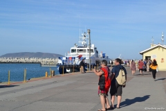Cape-Town00627