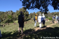 simien24