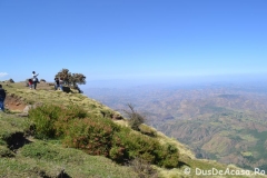 simien42