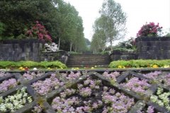Glasgow00281