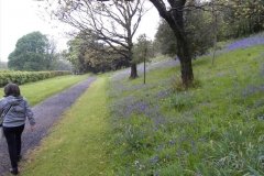 Glasgow00325