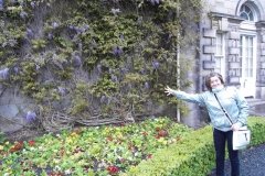 Glasgow00329