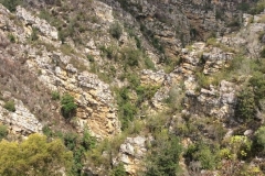 GardenRoute00384