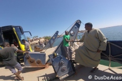 wadi24