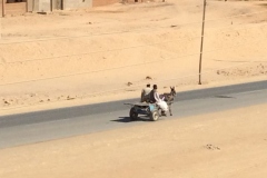 wadi66