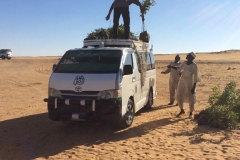 wadi88