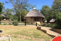 Africa00267