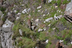 CapeTown00377