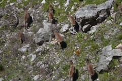 CapeTown00383