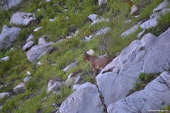 CapeTown00407