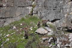 CapeTown00489