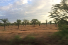 Tanzania200007