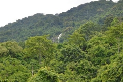 Tazara00063