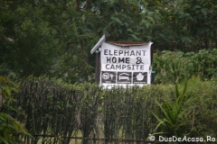 elephanthome352