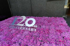 Shopping în Ginza