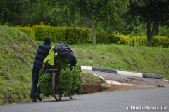 FortPortal00226