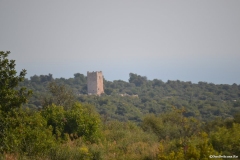 Turkiye00227
