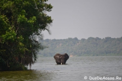 elephanthome718