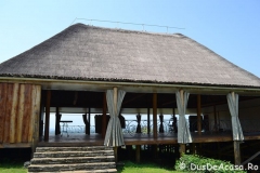 elephanthome91
