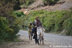simien696