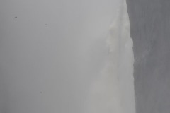 Zambia00227